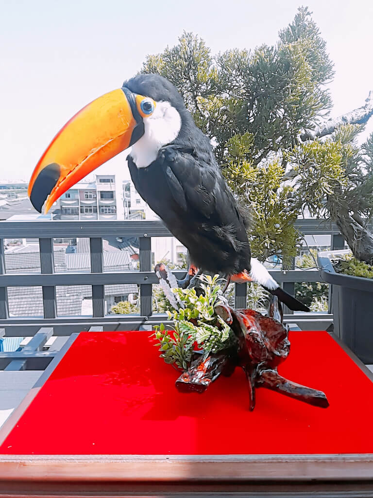 陪伴型動物標本製作案例 06