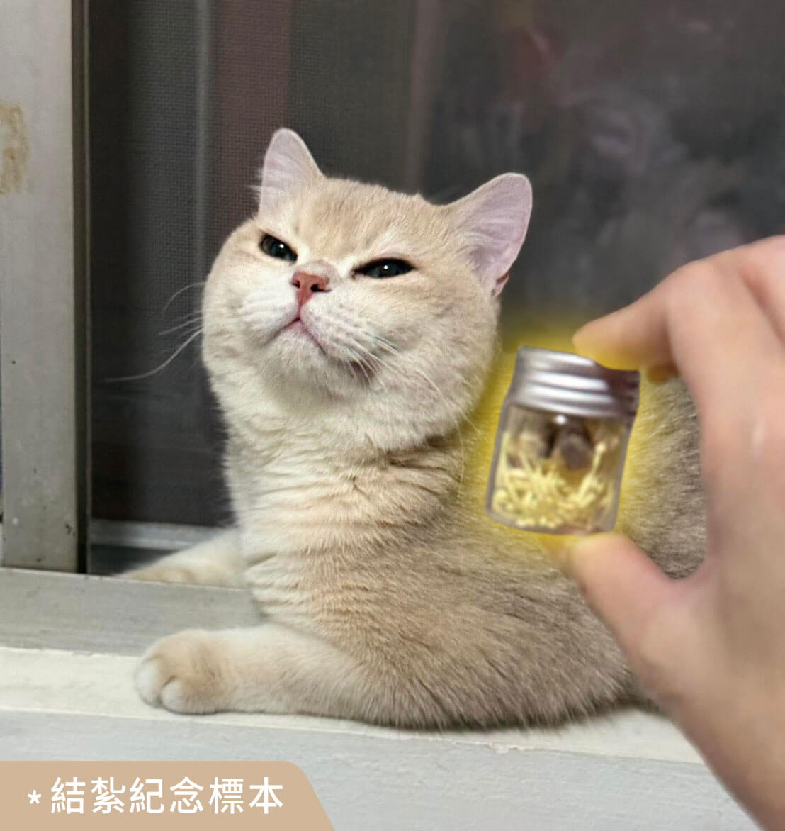 其它動物標本製作案例 05