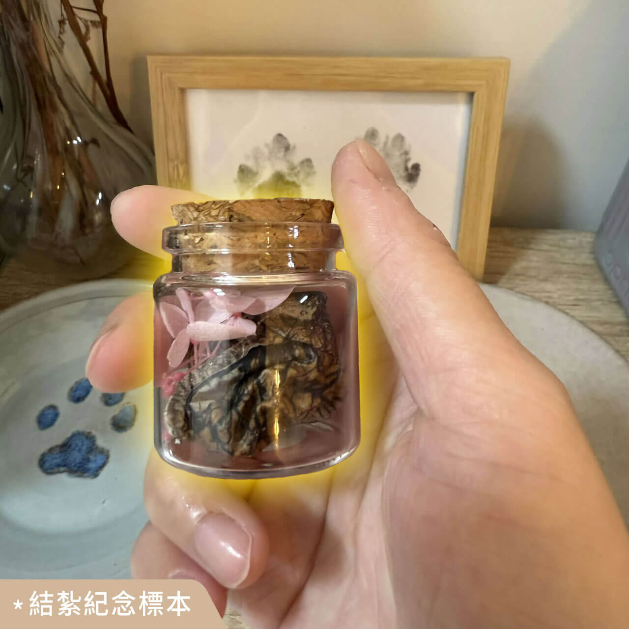 其它動物標本製作案例 07