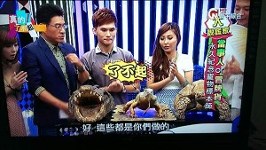動物標本師媒體報導縮圖