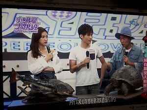 寵物標本師媒體報導縮圖