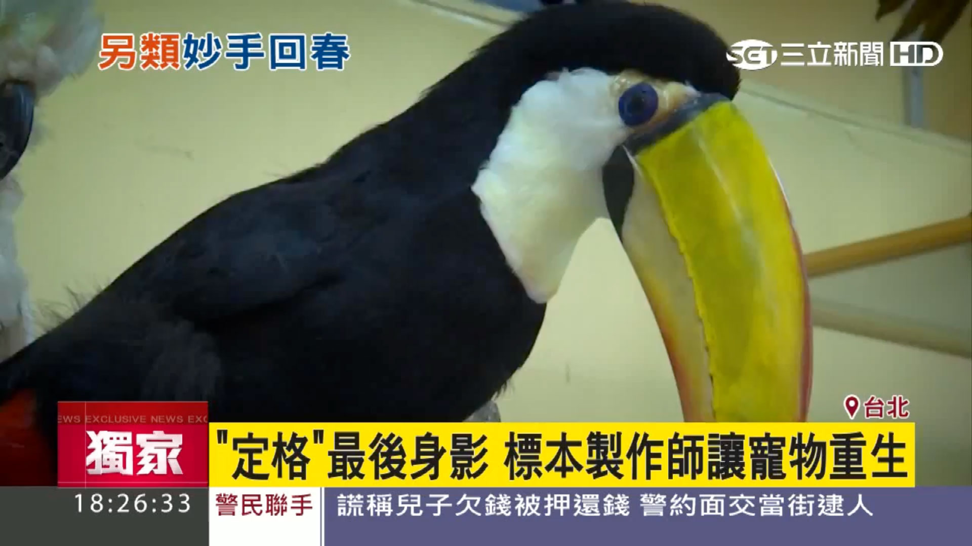 標本師讓愛寵重生媒體報導縮圖