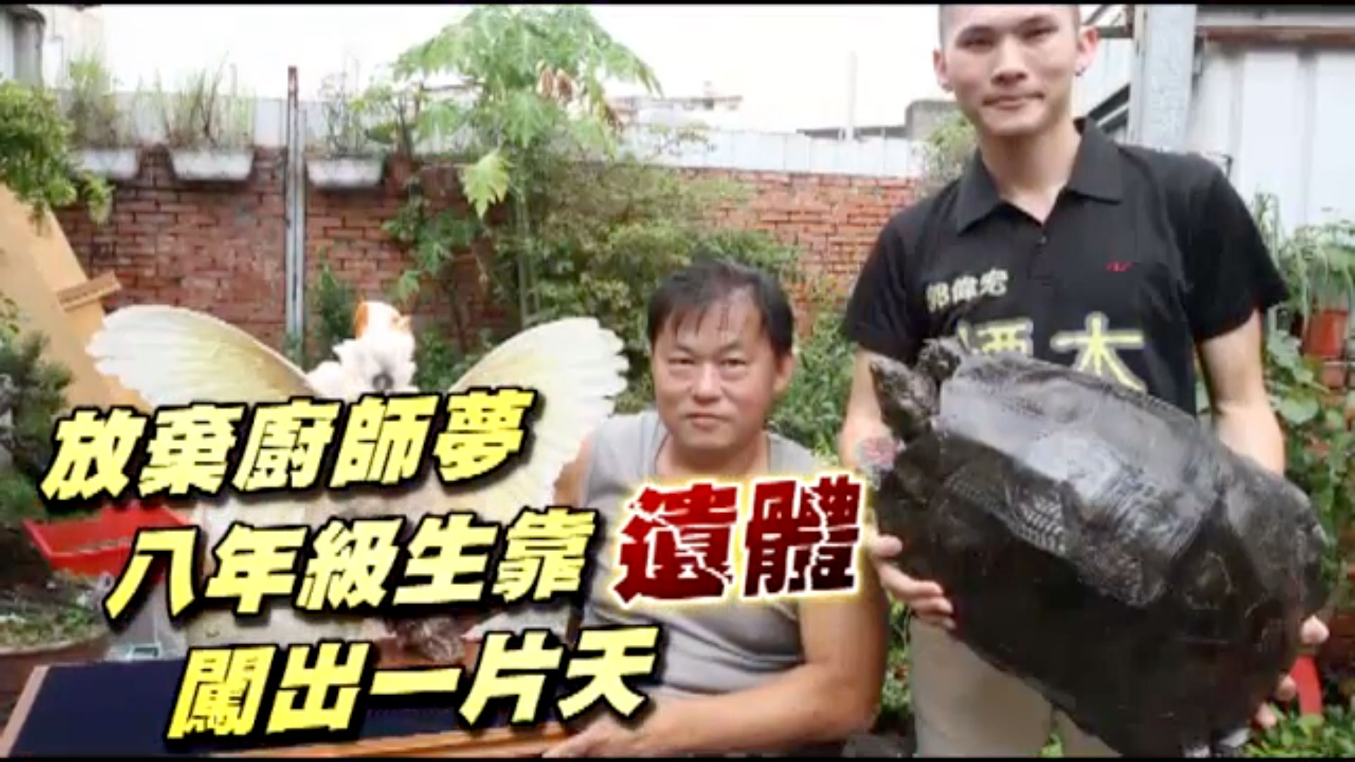 不後悔的選擇，標本達人媒體報導縮圖